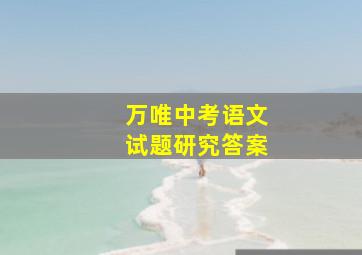 万唯中考语文试题研究答案