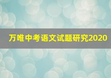 万唯中考语文试题研究2020