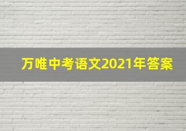 万唯中考语文2021年答案