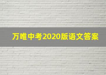 万唯中考2020版语文答案