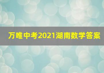 万唯中考2021湖南数学答案