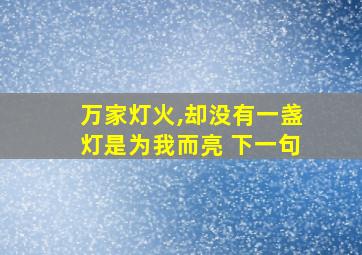 万家灯火,却没有一盏灯是为我而亮 下一句