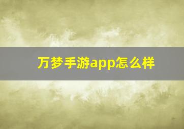 万梦手游app怎么样