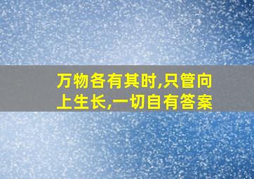 万物各有其时,只管向上生长,一切自有答案