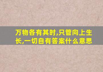 万物各有其时,只管向上生长,一切自有答案什么意思