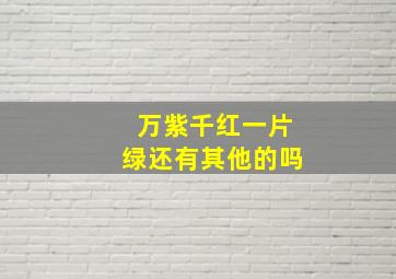 万紫千红一片绿还有其他的吗