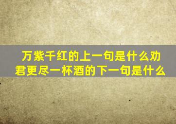 万紫千红的上一句是什么劝君更尽一杯酒的下一句是什么