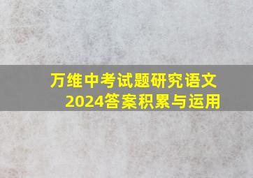 万维中考试题研究语文2024答案积累与运用