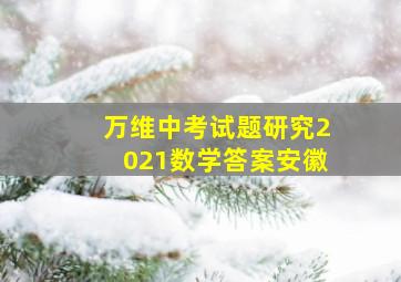 万维中考试题研究2021数学答案安徽