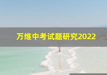 万维中考试题研究2022