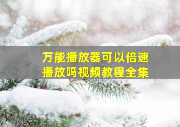 万能播放器可以倍速播放吗视频教程全集