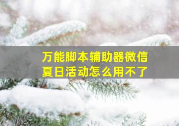 万能脚本辅助器微信夏日活动怎么用不了