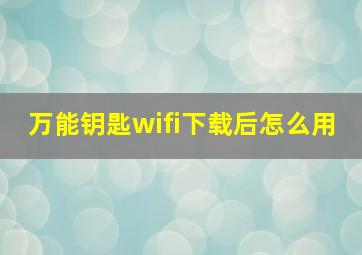 万能钥匙wifi下载后怎么用