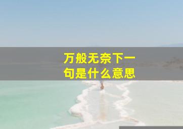 万般无奈下一句是什么意思