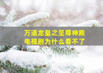 万道龙皇之至尊神殿电视剧为什么看不了