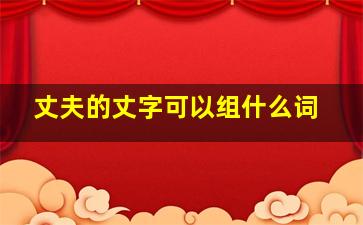 丈夫的丈字可以组什么词