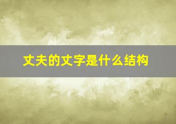 丈夫的丈字是什么结构