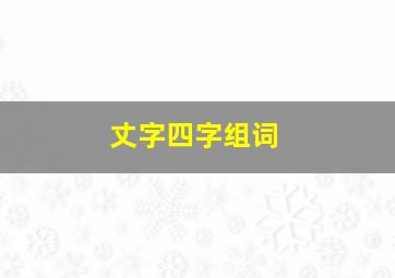 丈字四字组词