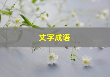 丈字成语