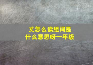 丈怎么读组词是什么意思呀一年级