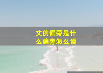 丈的偏旁是什么偏旁怎么读