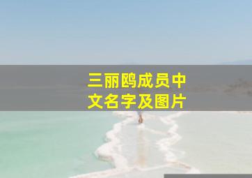 三丽鸥成员中文名字及图片