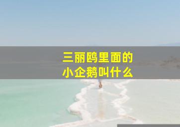 三丽鸥里面的小企鹅叫什么