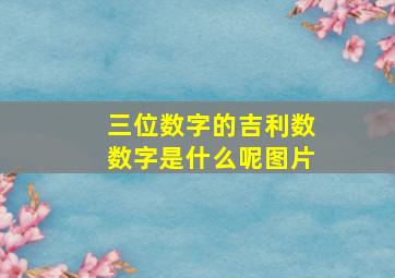 三位数字的吉利数数字是什么呢图片