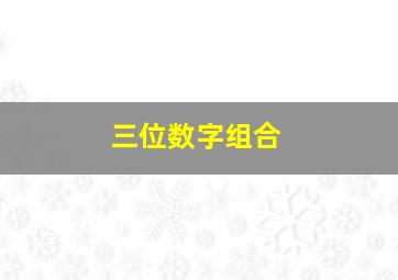 三位数字组合