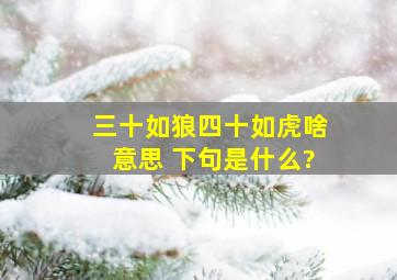 三十如狼四十如虎啥意思 下句是什么?