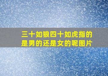 三十如狼四十如虎指的是男的还是女的呢图片