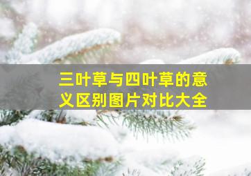 三叶草与四叶草的意义区别图片对比大全