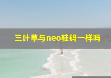 三叶草与neo鞋码一样吗