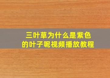 三叶草为什么是紫色的叶子呢视频播放教程