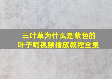 三叶草为什么是紫色的叶子呢视频播放教程全集