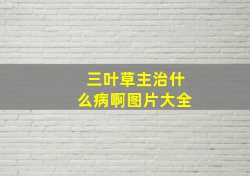 三叶草主治什么病啊图片大全