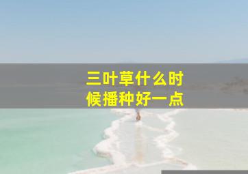 三叶草什么时候播种好一点