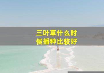 三叶草什么时候播种比较好