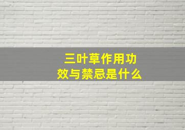 三叶草作用功效与禁忌是什么