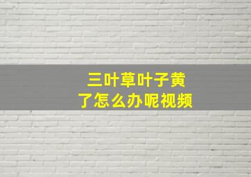 三叶草叶子黄了怎么办呢视频