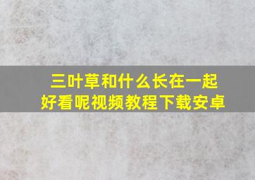 三叶草和什么长在一起好看呢视频教程下载安卓