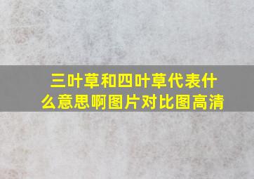 三叶草和四叶草代表什么意思啊图片对比图高清