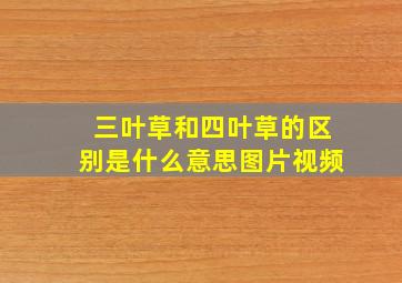 三叶草和四叶草的区别是什么意思图片视频