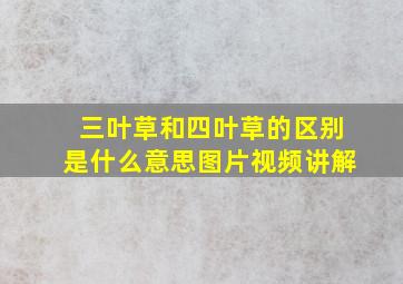 三叶草和四叶草的区别是什么意思图片视频讲解