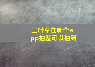 三叶草在哪个app抽签可以抽到