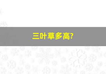 三叶草多高?