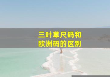 三叶草尺码和欧洲码的区别