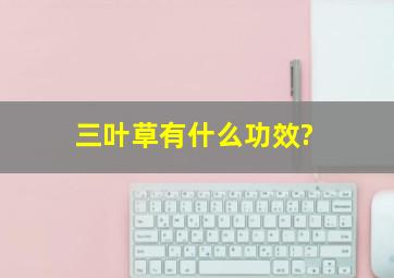 三叶草有什么功效?