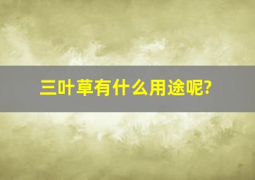 三叶草有什么用途呢?