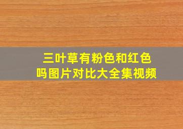 三叶草有粉色和红色吗图片对比大全集视频